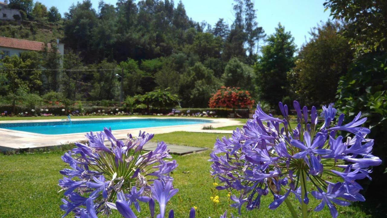 The River House - Termas Guesthouse Termas de Sao Pedro do Sul Eksteriør bilde